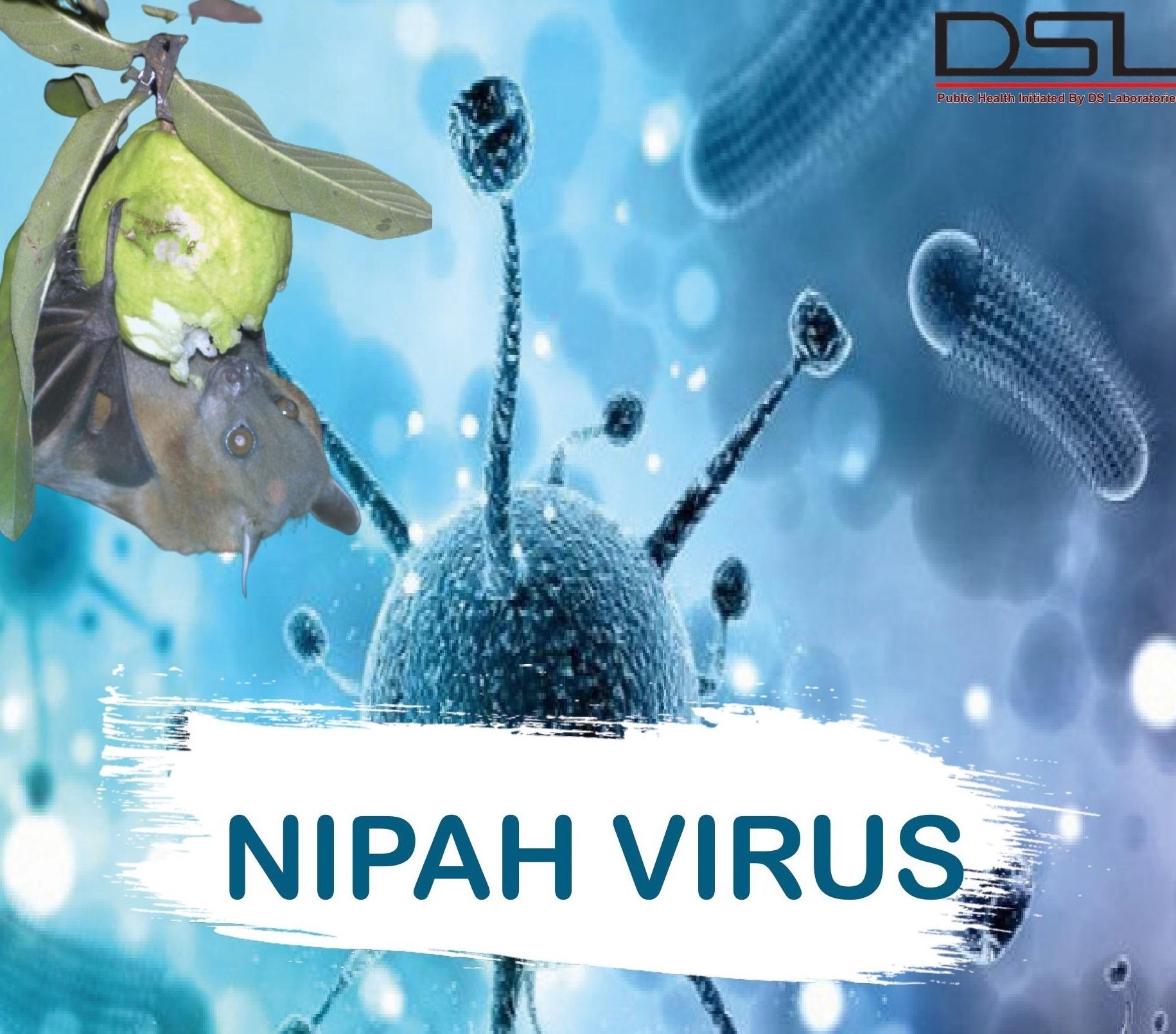 NIPAH VIRUS: THAT DWELLS ON ASIA