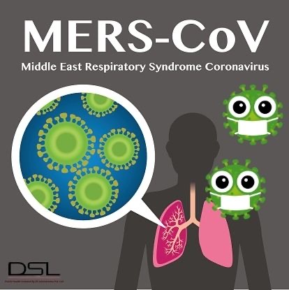MERS-Cov: Is it related to COVID-19?